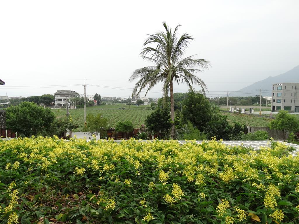花蓮 達芙妮花園民宿 Ji'an Dış mekan fotoğraf